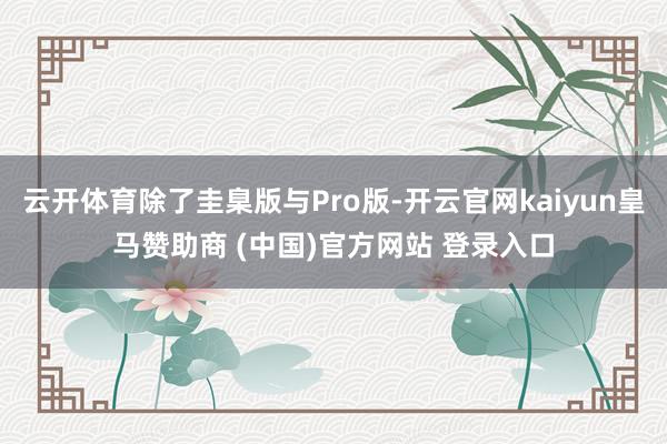 云开体育除了圭臬版与Pro版-开云官网kaiyun皇马赞助商 (中国)官方网站 登录入口