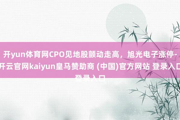 开yun体育网CPO见地股颤动走高，旭光电子涨停-开云官网kaiyun皇马赞助商 (中国)官方网站 登录入口
