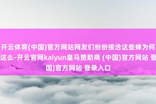 开云体育(中国)官方网站网友们纷纷接洽这些蝉为何会变成这么-开云官网kaiyun皇马赞助商 (中国)官方网站 登录入口