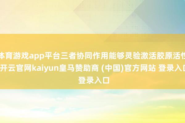 体育游戏app平台三者协同作用能够灵验激活胶原活性-开云官网kaiyun皇马赞助商 (中国)官方网站 登录入口