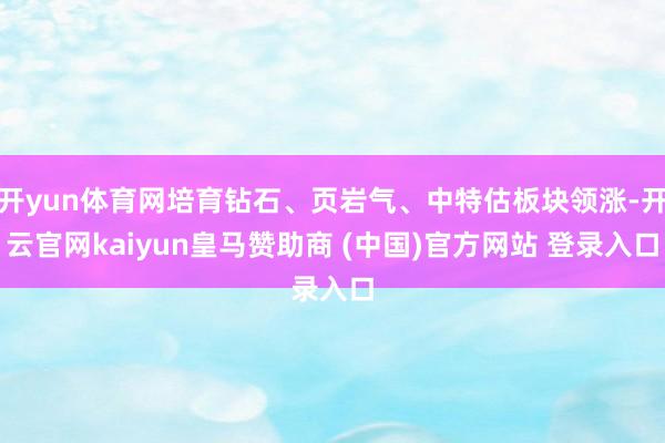 开yun体育网培育钻石、页岩气、中特估板块领涨-开云官网kaiyun皇马赞助商 (中国)官方网站 登录入口